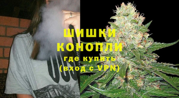 дживик Нягань