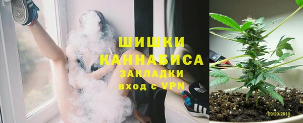 дживик Нягань