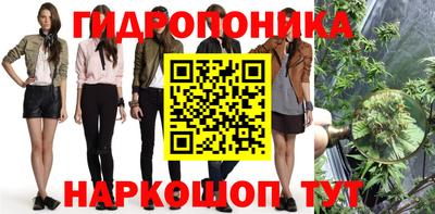 ГАЛЛЮЦИНОГЕННЫЕ ГРИБЫ Абакан