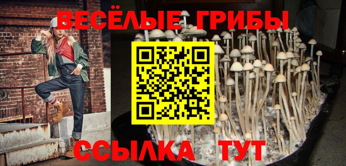 Псилоцибиновые грибы GOLDEN TEACHER  Псилоцибиновые грибы Psilocybine cubensis  Анапа 