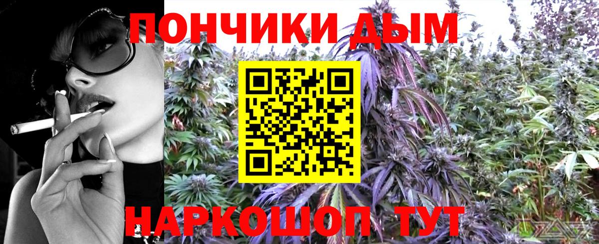 Конопля сатива Анапа